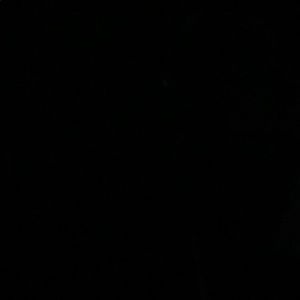 Meet your Posher, Lexi